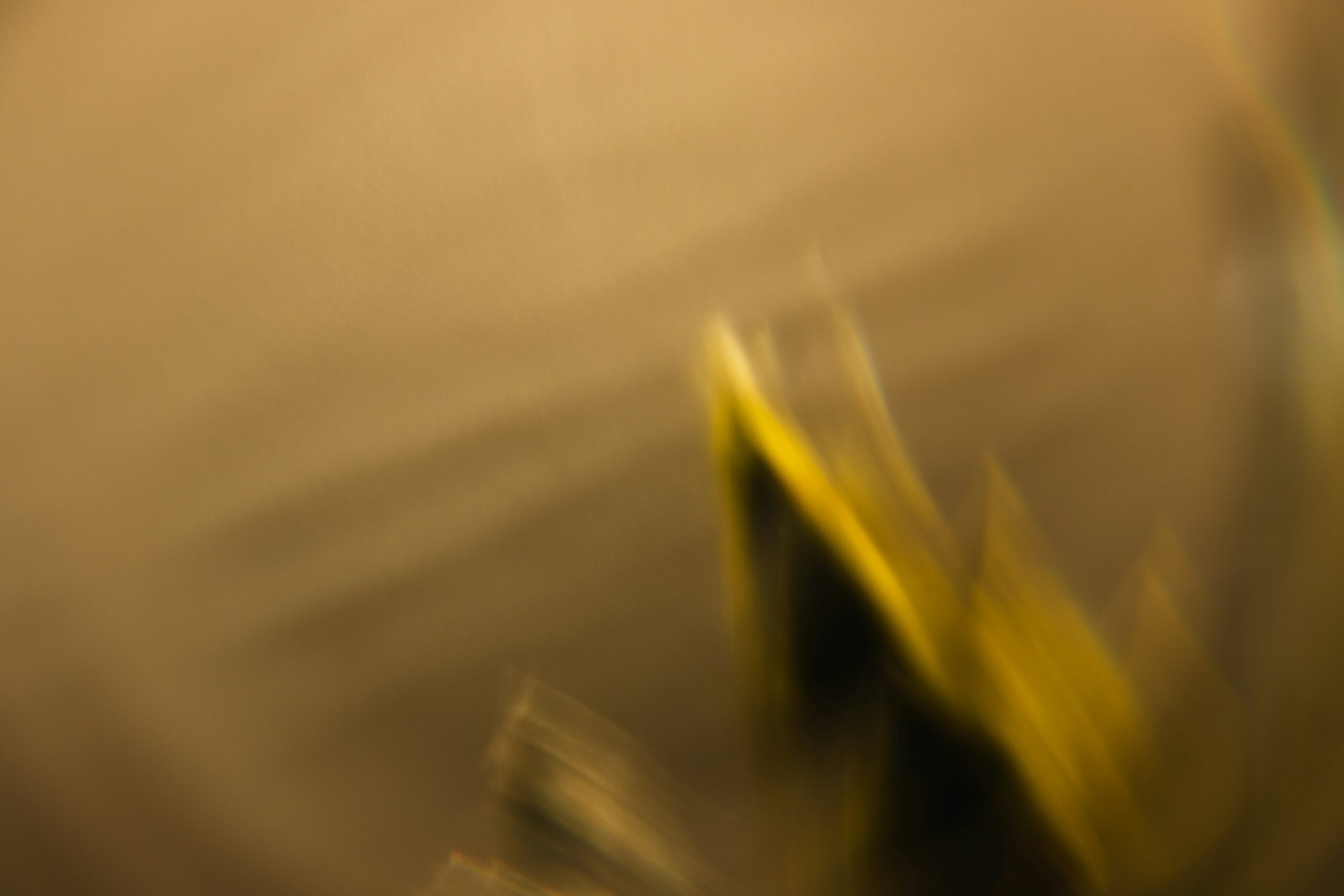 photo-1628538248989-d8077abf4fda