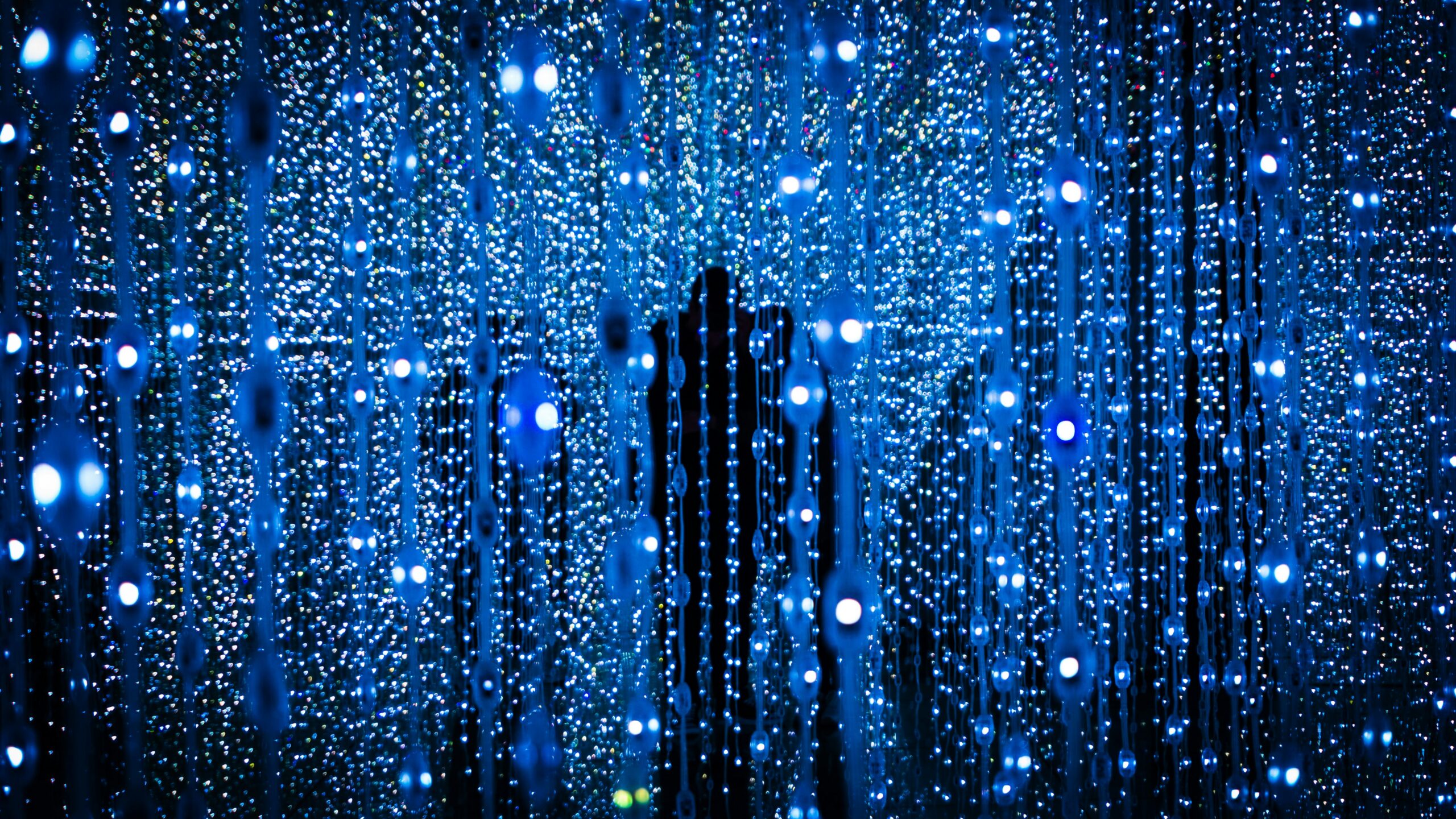 photo-1688872073226-d78c1e09a429